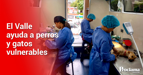 Unidad-Móvil-de-Esterilización-para-perros-y-gatos-vulnerables Unidad-Móvil-de-Esterilización-para-perros-y-gatos-vulnerables