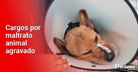 Agresor-del-perro-Jacobo-fue-enviado-a-la-carcel3.jpg