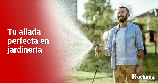 El arte del riego - pistola de agua, tu aliada perfecta en jardinería. El arte del riego - pistola de agua, tu aliada perfecta en jardinería.