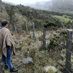 La función ecológica y la función social de la propiedad