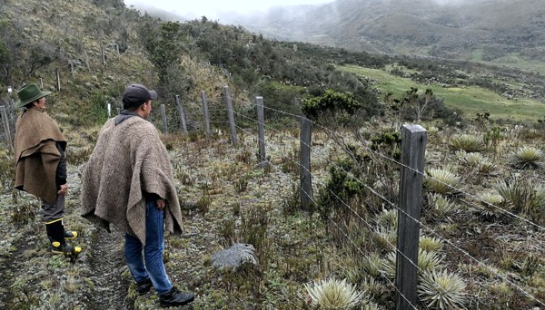 La-funcion-ecologica-y-la-funcion-social-de-la-propiedad.jpg