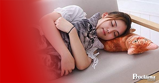 Personalice su mundo con almohadas corporales personalizadas