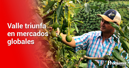 Valle-del-Cauca-conquistó-mercados-internacionales