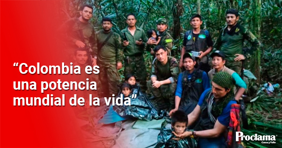 Perdidos en la selva Perdidos en la selva