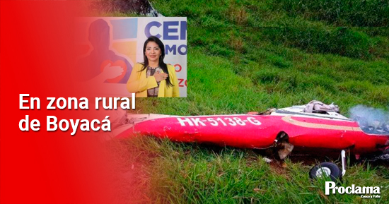 Mueren-miembros-del-Centro-Democratico-en-accidente-aereo.jpg