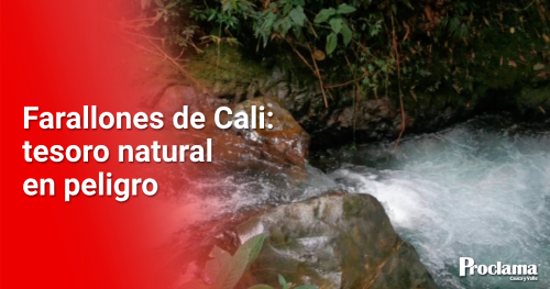 Tesoro-natural-en-peligro-1.png