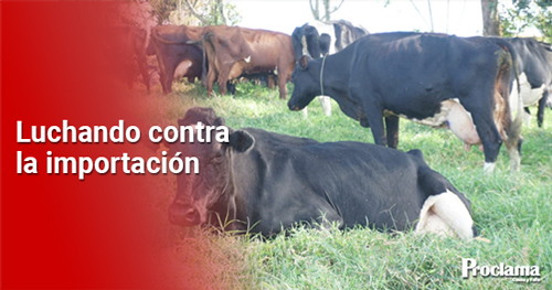 Una-ganadería-en-pérdidas -destacada