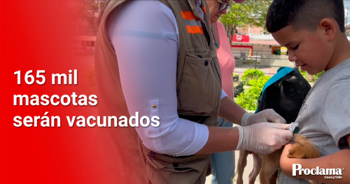 165 mil mascotas serán vacunados