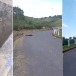 Asesinados otros tres policías en Morales
