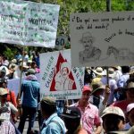 Los pequeños caficultores se van a arruinar