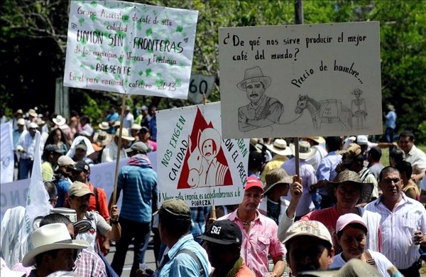 Los-pequenos-caficultores-se-van-a-arruinar.jpg