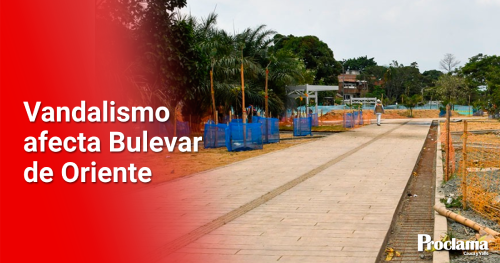 Vandalismo-afecta-Bulevar-de-Oriente.png