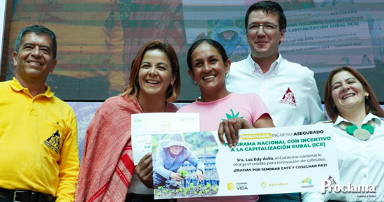 Renovacion-de-cafetales.jpg