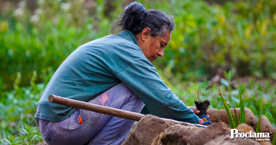 Día-Internacional-de-las-Mujeres-Rurales Día-Internacional-de-las-Mujeres-Rurales