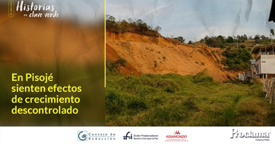En-Pisoje-sienten-efectos-de-crecimiento-descontrolado-1.jpg