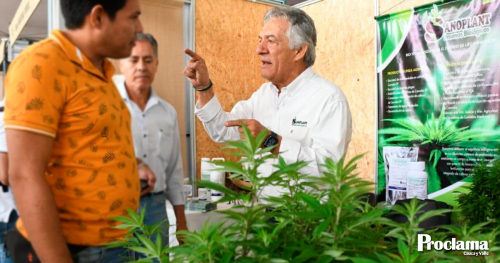 Cannabis-y-Canamo-en-Cali-2023.png
