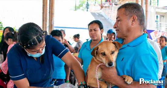 Más-de-13,000-esterilizaciones-gratuitas-en-Popayán