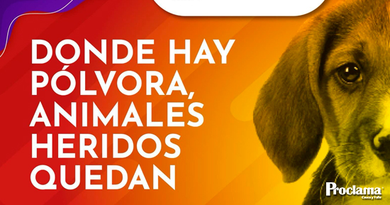 Festeja-Seguro.jpg