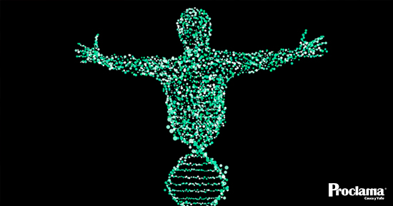 epigeneticaa