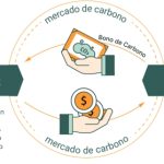 Ambientalismo de Mercado