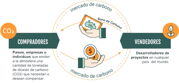 Ambientalismo de Mercado
