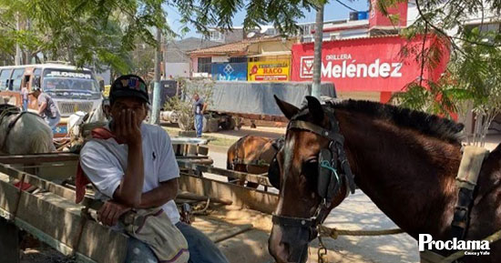 Anhelada-sustitucion-de-vehiculos-de-traccion-animal-en-Quilichao2-1.jpg