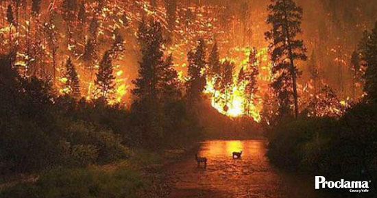 El-cambio-climatico-es-una-realidad-1.jpg