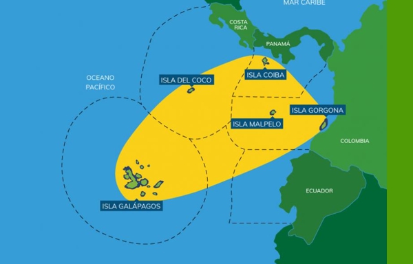 la-farsa-ambientalista-de-Petro-y-su-entrega-antinacional.jpg