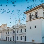 Acciones contra el dengue en Popayán
