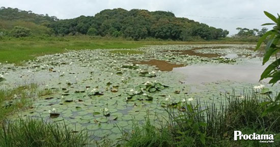 Urge-preservacion-de-Monte-Japio-en-las-goteras-de-Quilichao4-1.jpg