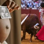 ABORTOS Y CORRIDAS DE TOROS