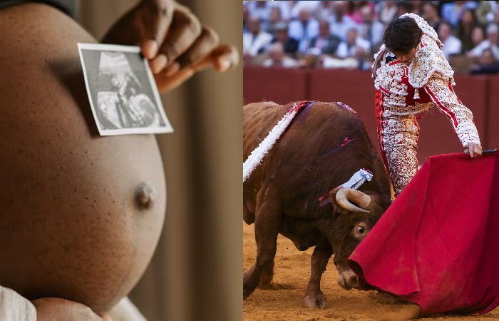 ABORTOS Y CORRIDAS DE TOROS