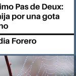Diario de una mujer borracha