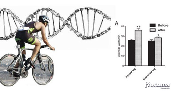 La-epigenetica-medica-y-la-ciencia-deportiva-de-precision-1.jpg