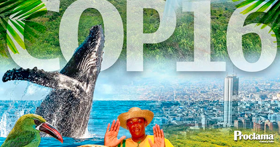 Que-es-la-COP16-por-que-es-tan-importante-para-Colombia1.jpg