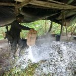 NEUTRALIZACIÓN DE LABORATORIOS DE COCAÍNA Y RESTAURACIÓN AMBIENTAL