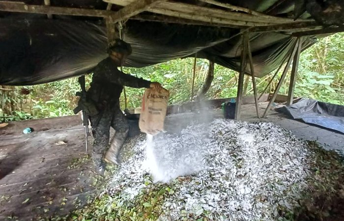 Militares destruyeron cuatro laboratorios para procesar cocaína 1