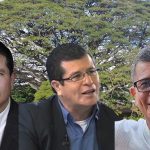 … más viejo, más tranquilo y canoso.