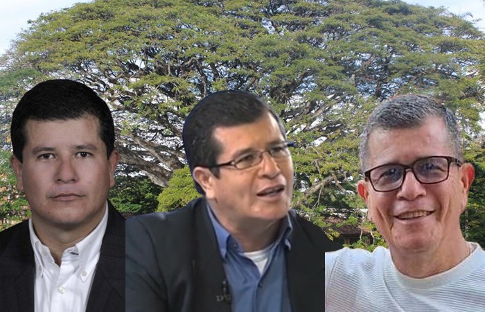 mas-tranquilo-y-canoso.jpg