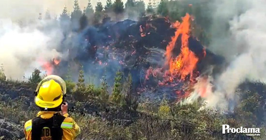Incendios-forestales-no-dan-tregua-en-septiembre-3.jpg