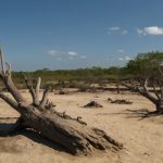 SEQUÍA, CAMBIO CLIMÁTICO Y SOBREEXPLOTACIÓN DEL AGUA