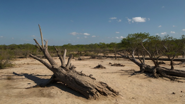 SEQUÍA, CAMBIO CLIMÁTICO Y SOBREEXPLOTACIÓN DEL AGUA SEQUÍA, CAMBIO CLIMÁTICO Y SOBREEXPLOTACIÓN DEL AGUA