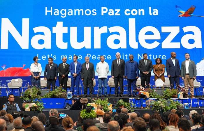 COP16-Impacto-economico-y-cultural-sin-precedentes-4.jpg