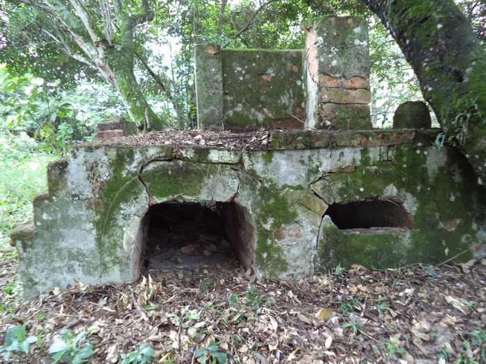 Cementerio 4 Cementerio 4