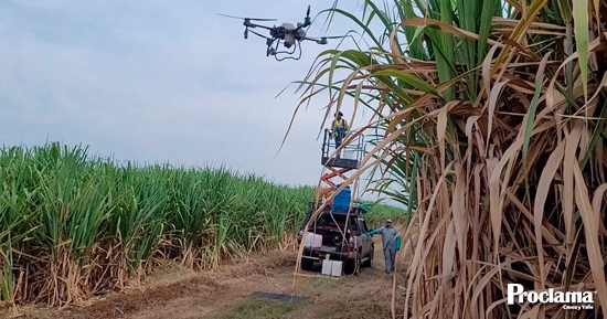 Drones-para-mejorar-riego-en-cultivos-de-cana.jpg