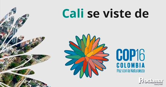El-cimbronazo-de-la-COP16-Cali-para-Colombia.jpg