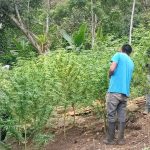 No es cierto que las comunidades indígenas pretendan sabotear la COP 16