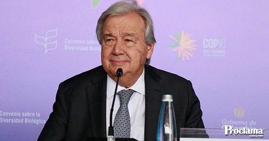ONU-apoya-plan-de-compra-de-hoja-de-coca-del-gobierno-Petro.jpg