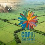 PAZ CON LA NATURALEZA Y LOS REDUCCIONISMOS MEDIÁTICOS