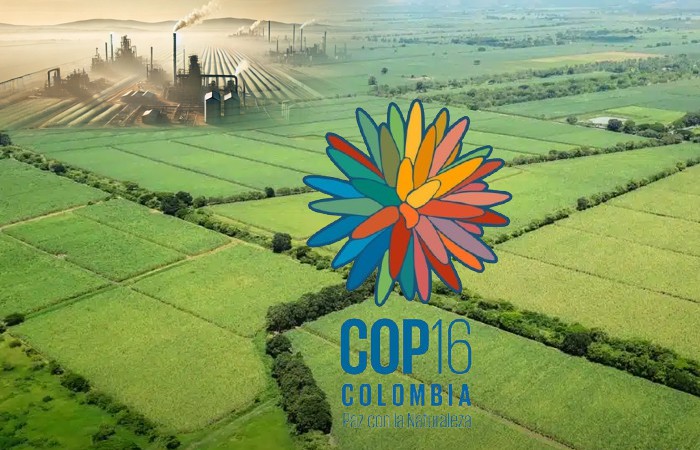 PAZ-CON-LA-NATURALEZA-Y-LOS-REDUCCIONISMOS-MEDIATICOS.jpg